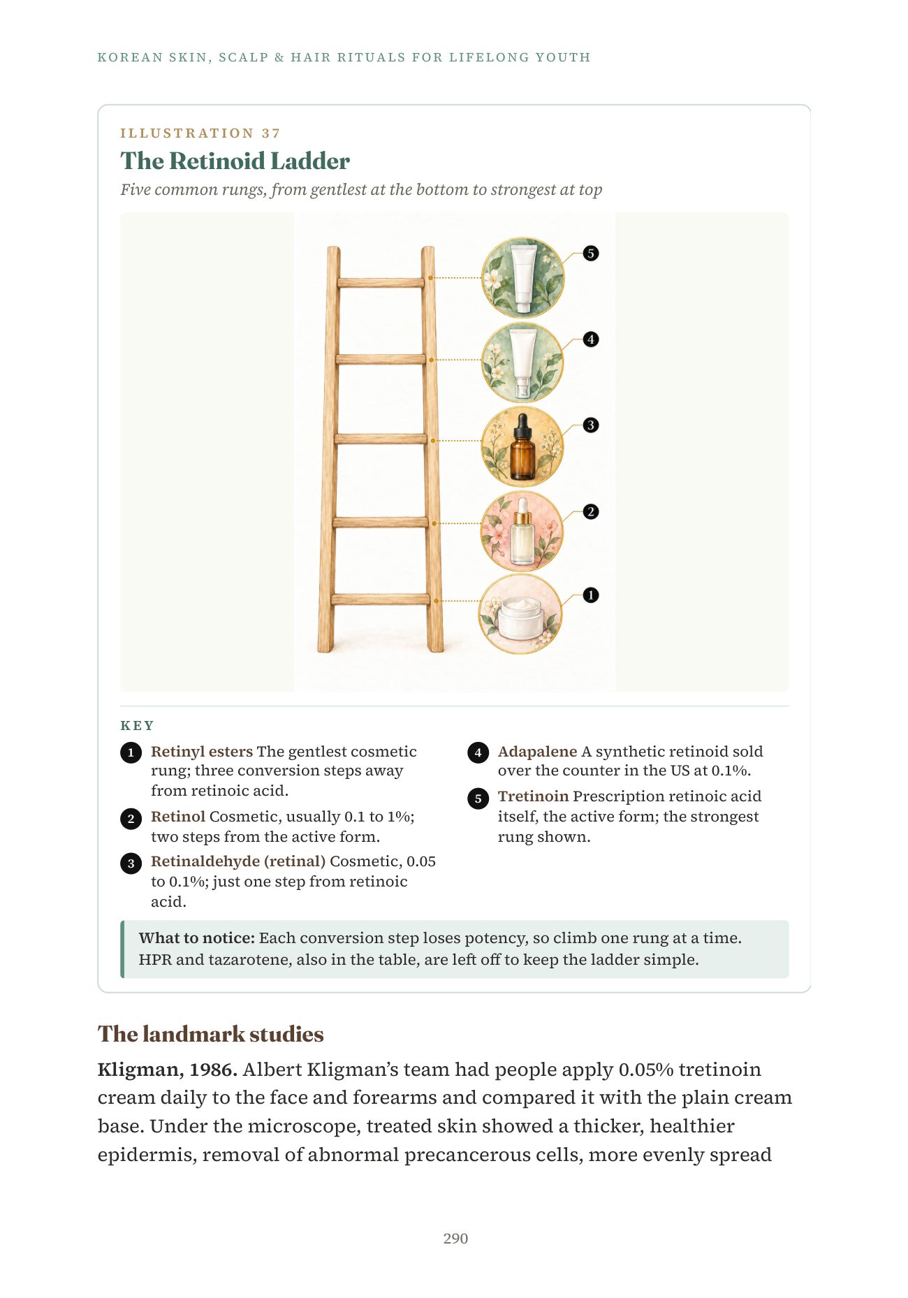 Korean Rituals, page 290